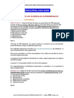 ENDOCRINOLOGIA