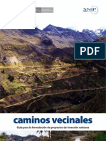 Guía para formulacion de PIPs Caminos Vecinales