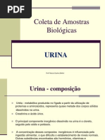 - Coleta urina1