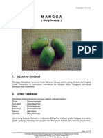04 - BDP Mangga PDF