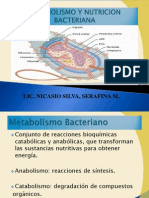 Nutricón bacteriana