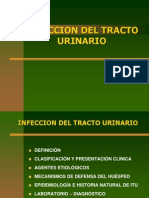 Infeccion Urinaria