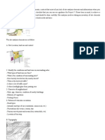 Site Analysis