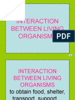 Interaction Between Living Organisms