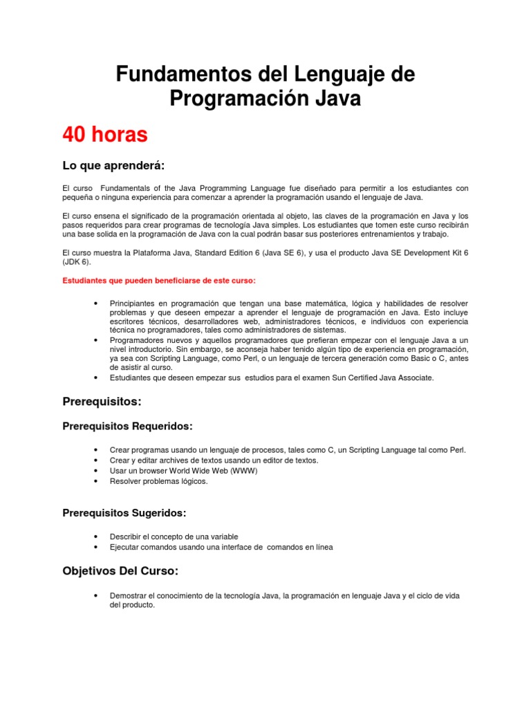 1 - Fundamentos Del Lenguaje de Programación Java | PDF