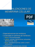 Especializaciones de Membrana