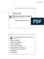 2 Tema 43 Micosis Oportunistas - 2011-12