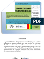 Guinea National Profil April 2012