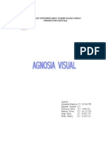 Agnosia Visual