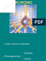 Aula_01_-__Neurônio_e_eletrofisiologia