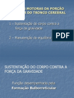 Aula_10_-_Funções_Motoras_TC