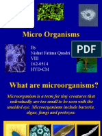 Micro Organisms: by Nishat Fatima Quadri Viii 162-0514 Hyd-Cm