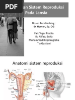Download Gangguan Sistem Reproduksi Pada Lansia Gabungan by Khanidya Noor Azziza SN143730759 doc pdf