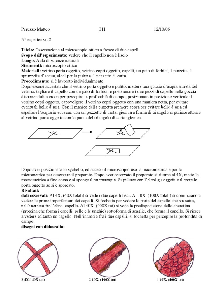 Relazione Di Laboratorio Osservazione Al Microscopio