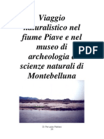 Viaggio Naturalistico Nel Fiume Piave e Nel Museo Di Archeologia e Scienze Naturali Di Montebelluna