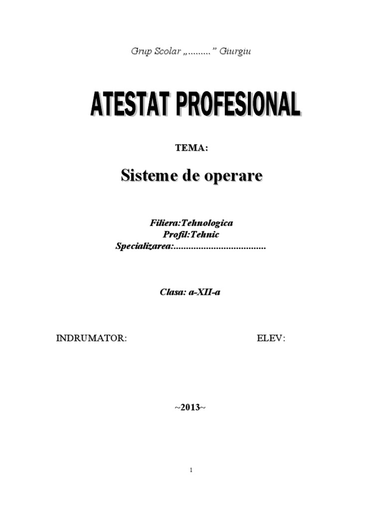 Atestat | PDF