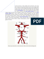 Circulus Arteriosus Willisi