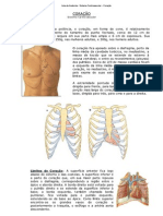 Aula de Anatomia - Siste...ardiovascular - Coração