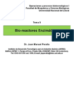 Apuntes Del Tema Bioreactores Enzimaticos PDF