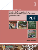 3-Plan de Negocios PromAmazonia - 28-11-07