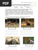 Evaluacion 4TO SERES VIVOS Alternativa 2