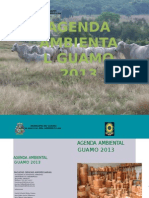 Agenda Ambiental Guamo 2013