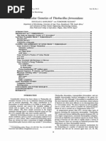 Download Molecular Genetics of Thiobacillus Ferrooxidans by wvickery_1 SN143827595 doc pdf