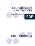 Fimosis, Hidrocele y Criptorquidea