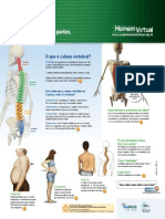 Anatomia da Coluna Vertebral.pdf