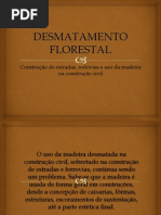 DESMATAMENTO FLORESTAL