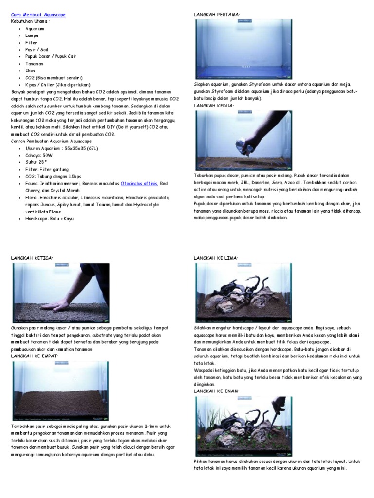 Cara Membuat Aquascape