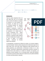 Practica 2 de Patologia