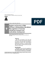 Analysis of Rab GTPases in Dictyostelium discoideum