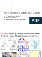 Metodos Estudio Acid Nucleicos