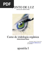 Curso-de-Iridologia-Apostila.pdf