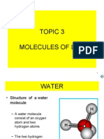 Topic 3 Molecules of Life