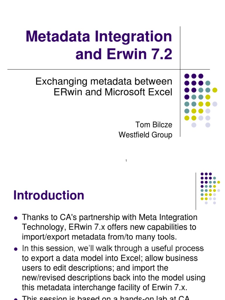 ERWIN DI METADATA MANAGEMENT GUIDE visual data 2