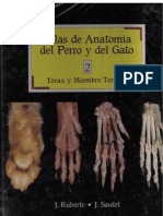 Atlas de Anatom A Del Perro y Del Gato Tomo II T Rax y Miembro Tor Cico