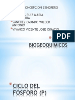 Ciclo Del Fosforo