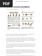 Bolas de Sementes (SeedBalls) _ Tudo Sobre Plantas
