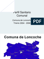Perfil Sanitario Comuna Loncoche 2004-2006