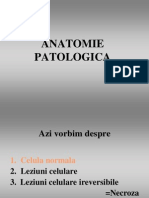 2974250-Patologie-celulara