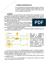 Neurobiologie - Carte