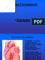 Sistema Circulatório