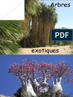 Arbres Exotiques