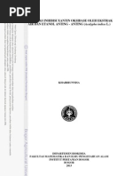 Download G13kha by Latifani Ayu Chaerunnisa SN143951530 doc pdf
