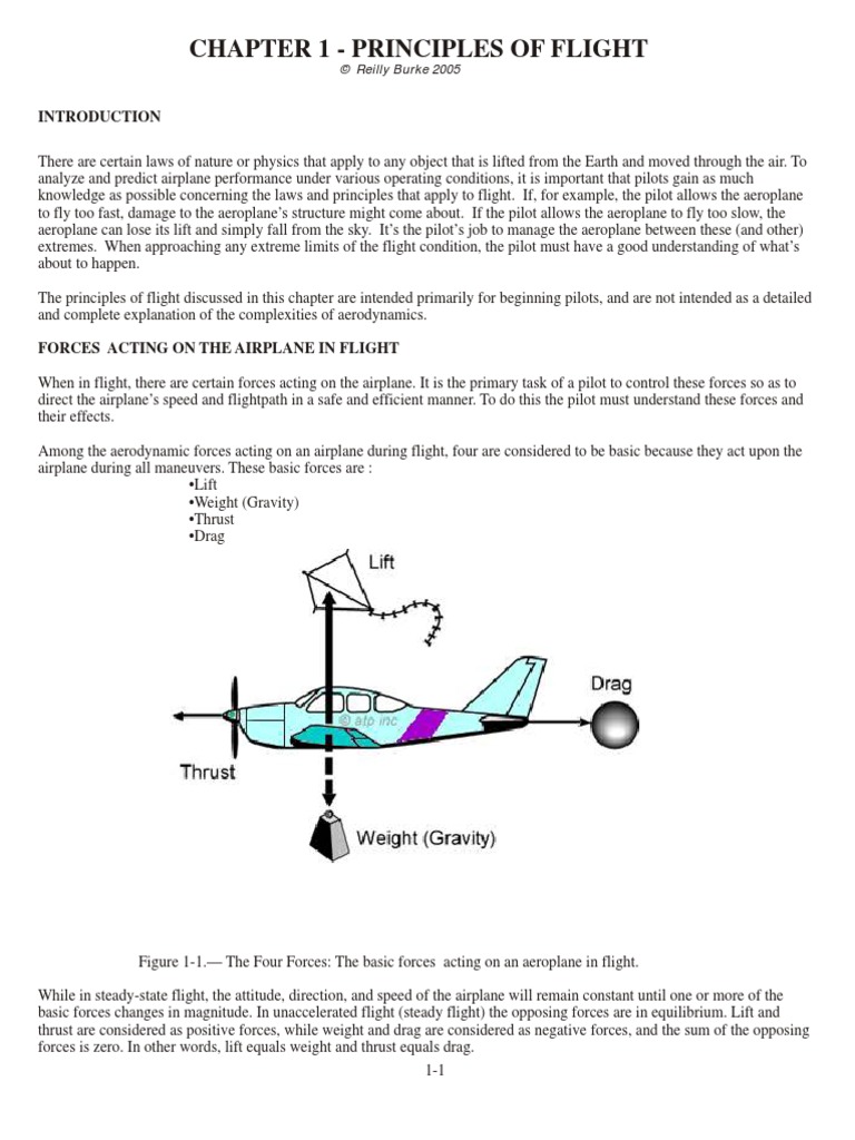 Principles of Flight | PDF | Lift (Force) | Aileron