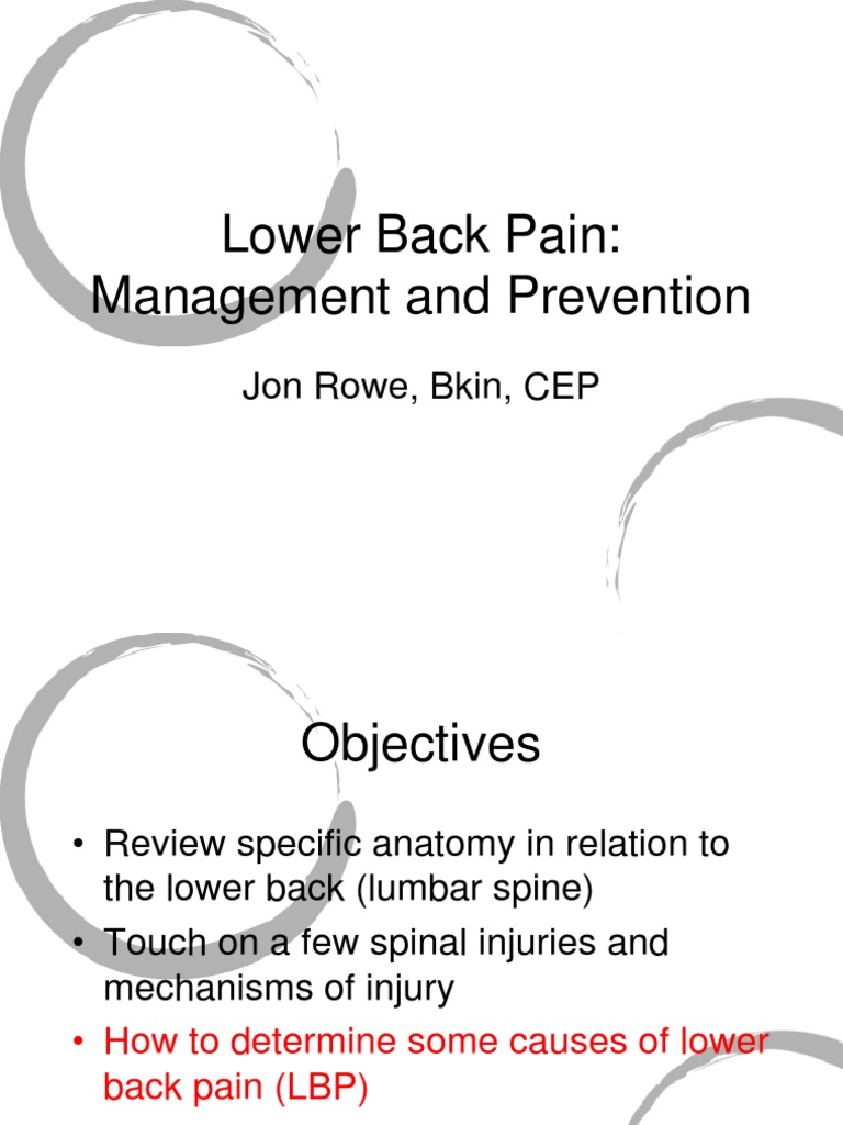 LBP Management and Prevention | PDF | Vertebra | Vertebral Column