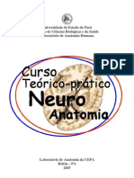 Curso Teorico Pratico de Neuroanatomia Funcional