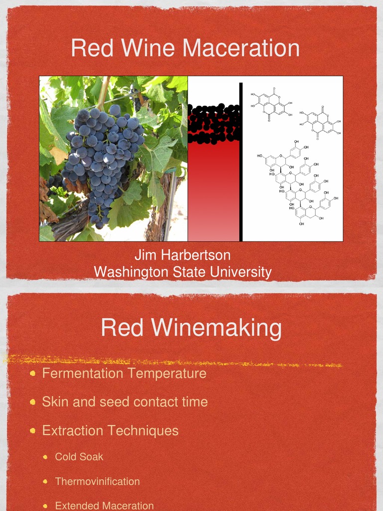 Red Wine Maceration Phenolic Content In Wine Winemaking